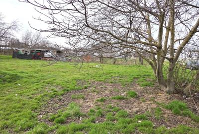 Teren Construcții intravilan de 615 mp, în Jilava - 2