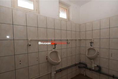 Hala de inchiriat in Marghita - 3