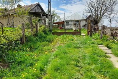 Casă cu Teren 3096 Mp în Boianu Mare - 5