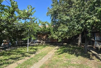 Casă cu 3 camere cu Teren 3000 Mp în Valea - 5