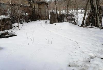 Casă cu 3 camere cu Teren 716 Mp în Buda - 3