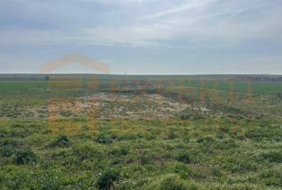 Teren Construcții intravilan de 10000 mp, în Valu lui Traian - 10