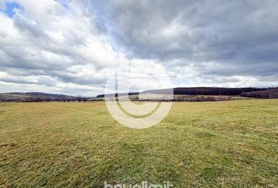 Teren intravilan in Tocile - 4354 m² - 2 fronturi - oferta competitiva - 16