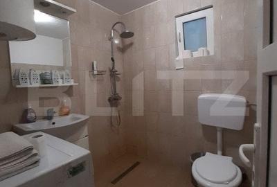 Cabana de lemn, 7 camere - afacere la cheie - Brasov - 14