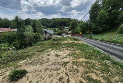 Teren intravilan-935 mp-dubla deschidere, Breaza-Valea Tarsei - 7