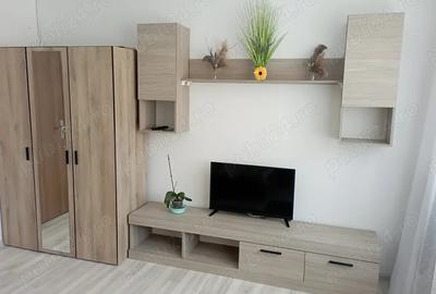 Vand camera de camin