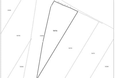 Teren de 40319 mp, în Orțișoara - 1