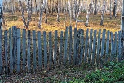 Spațiu comercial, în Baia de Fier - 2