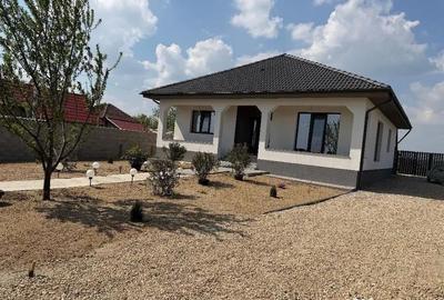 Casă cu 3 camere cu Teren 4200 Mp în Cărăndeni - 4