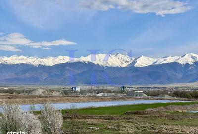 Spațiu comercial, în Bradu - 6