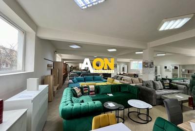 Spațiu Comercial, 400mp Nivel, Cetate - 1