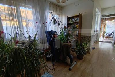 Casa cu 3 camere,baie, bucatarie,anexe.pivnita teren 800 mp - 12