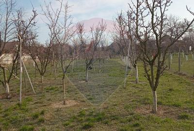 Spațiu comercial, în Vladimirescu - 2