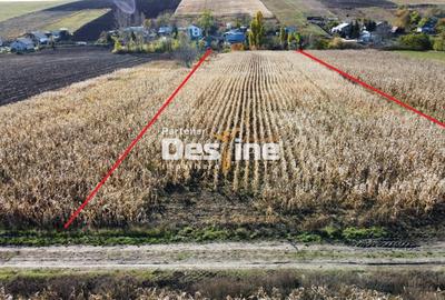 Oportunitate de investitie teren intravilan 7535 mp utilitati aproape, Cositeni - 1