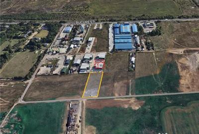 Teren de 5000 mp, în Domnești