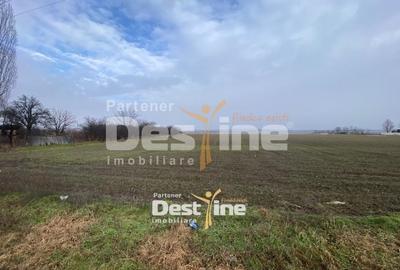 Teren Construcții intravilan de 7200 mp, în Doina - 4