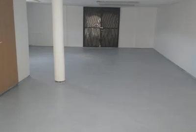 Hala industriala, 90mp zona Gusterita - 1