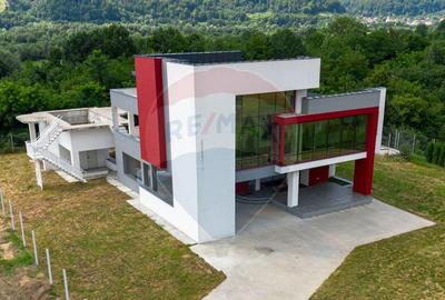 Casa / Vila cu 5 camere de vanzare