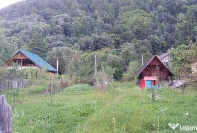 Teren de 725 mp, în Central - 8
