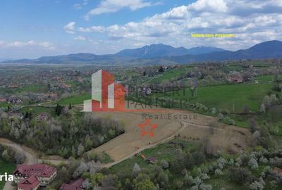 Spațiu comercial, în Bran - 7