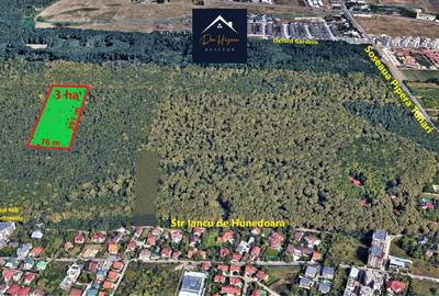3 Ha Padurea Baneasa ZOO - Pipera - Schimb sau RATE