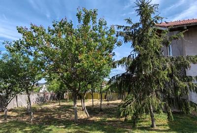 Casa, Livada de Bihor - 6