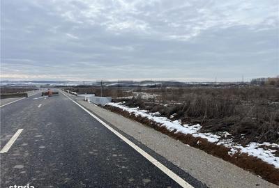 Spațiu comercial, în Biharia - 7