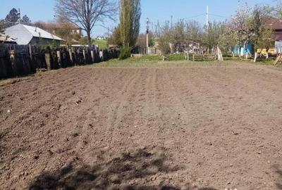 Teren de 700 mp, în Băcălești - 1