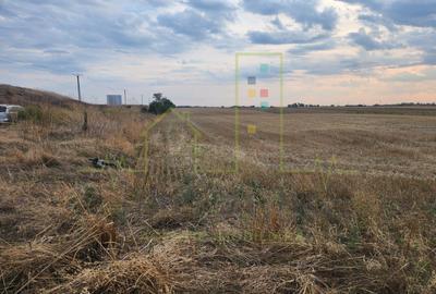 Teren agricol extravilan de 20000 mp, în Șag - 1