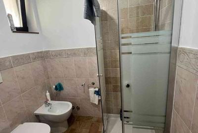 Casă cu 4 camere cu Teren 3808 Mp în Mestecăniș - 6