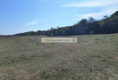 Teren intravilan investitie turism balnear fonduri europene - 2