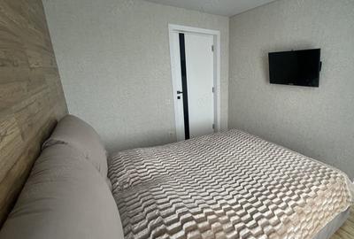 Apartament cu 2 camere decomandat în Calea Călărașilor - 4