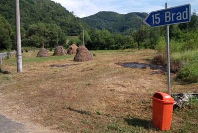 Casă cu 3 camere în Dumbrava - 6