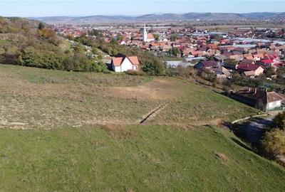 Teren intravilan de 2200 mp, în Sântana de Mureș - 5