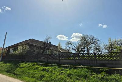 Casa ?araneasca autentica, teren generos ?i multe facilita?i. - 4