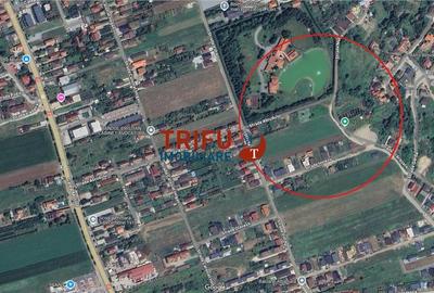 Teren Intravilan de Vanzare in Alba Micesti  Oportunitate Unica! - 5