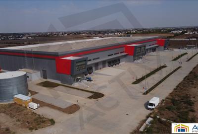 Hale moderne de inchiriat in Villar Logistics Park Bucharest West - 2