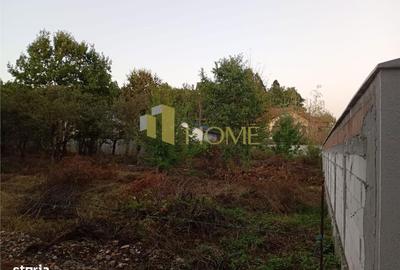 Spațiu comercial, în Tufeni - 5