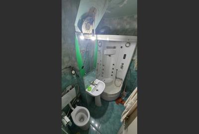 Apartament 3 camere, Parter, Liceul Dl. Tudor - 8