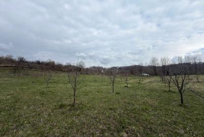 Spațiu comercial, în Bărbulețu - 5