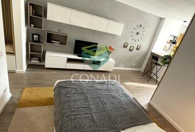 Garsoniera renovata modern str Nada Florilor - Teiul Domnei - 49