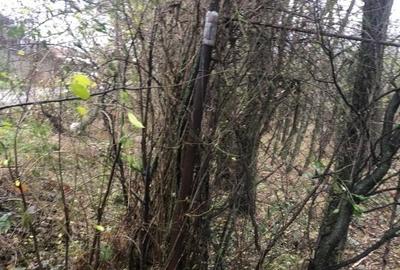 Vand teren imprejmuit cu gard de sarma:1100 mp sat Padurisu comuna Frumusani Vand teren imprejmuit cu gard de sarma:1100 mp sat Padurisu comuna Frumusani - 4