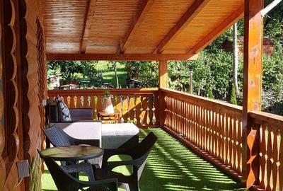 Cabana si Teren de Vanzare la Rimetea - 4