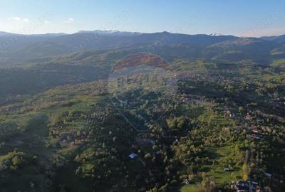 Teren de 15459 mp, în Bughea de Sus - 11