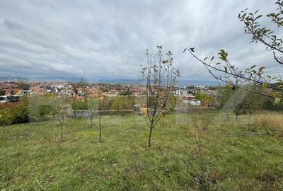 Teren intravilan 1200 mp, zona Zavoi - 5