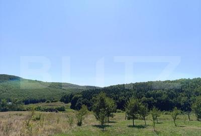 Teren 10200mp , toate utilitatile , la 10 km de DEJ Teren 10200mp , toate utilitatile , la 10 km de DEJ - 4