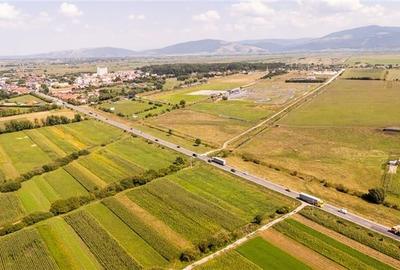 Teren extravilan Lunca Calnicului langa E574 - 17