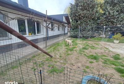 Casă cu 10 camere cu Teren 2100 Mp în Sâncraiu de Mureș - 18