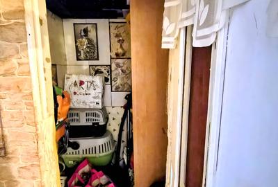 Apartament cu 1 cameră, zona Bălcescu, spațios, cu grădină - 6