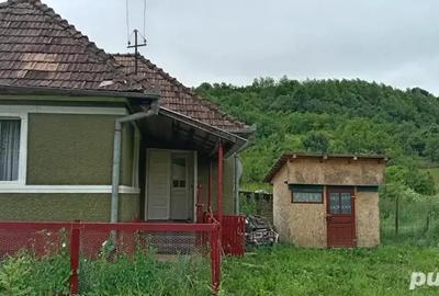 Vand casa in satul Nasal judetul Cluj Napoca , curte si gradina, total suprafa?a 22 de arii - 3